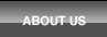 About I.T. Global Systems